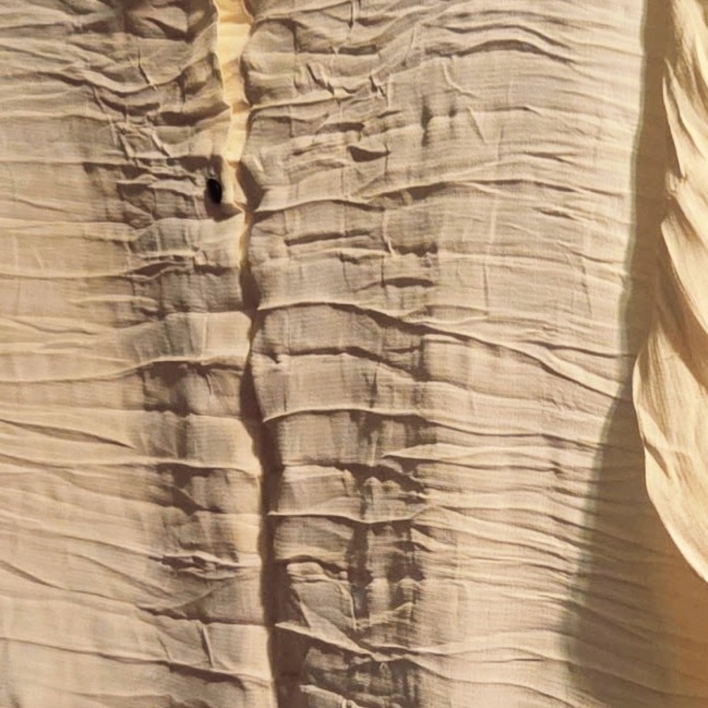 Chic Cream Ruffled Blouse - Picture 5 of 7